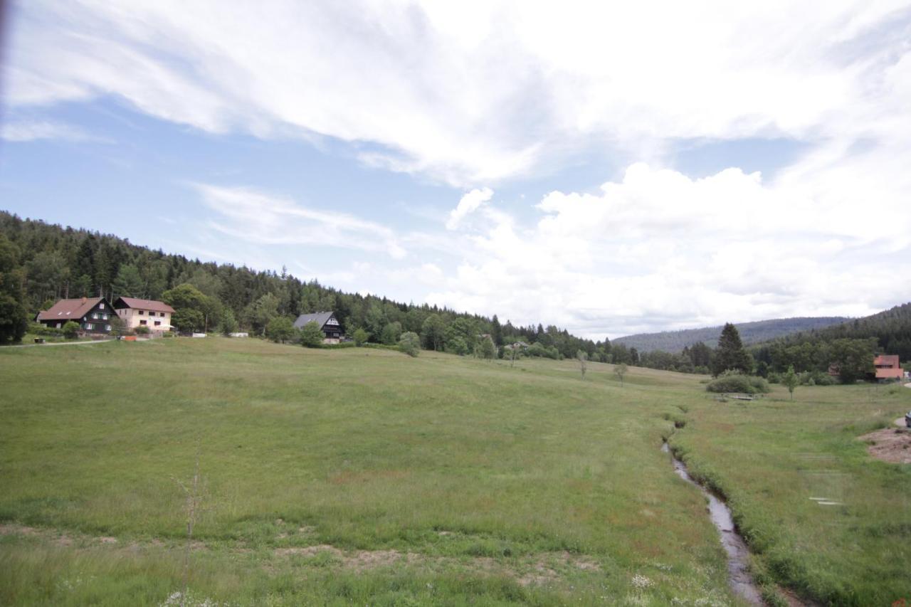 Schone Ferienwohnung Im Nationalpark Nordlicher Schwarzwald Форбах Екстериор снимка